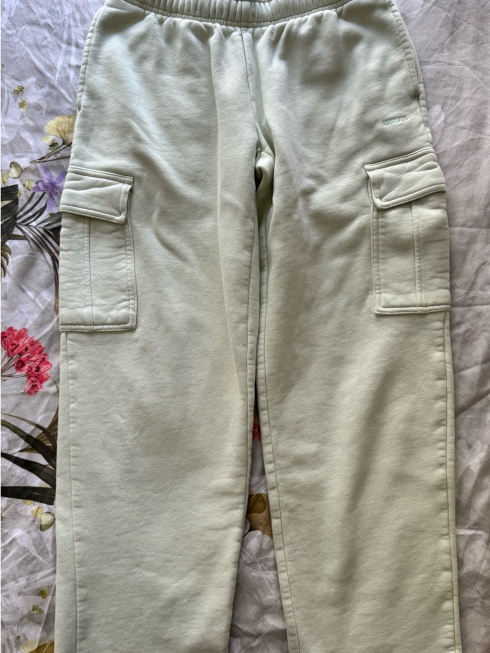 Aritzia Cozy Sweatfleece Joggers in Light Mint